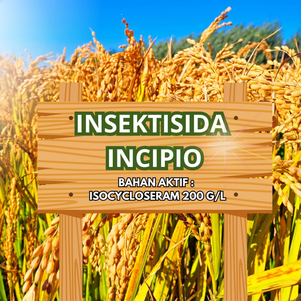 Incipio