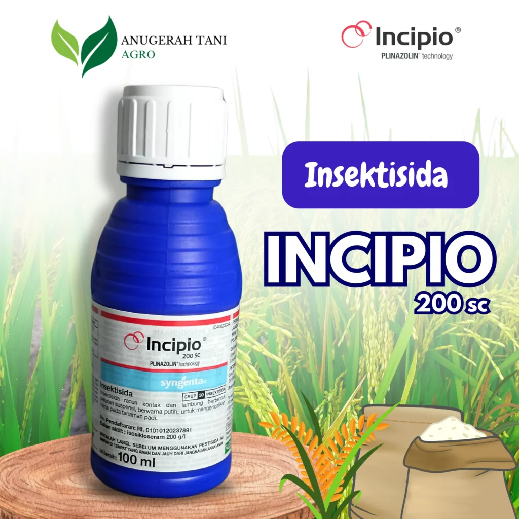 Incipio 2