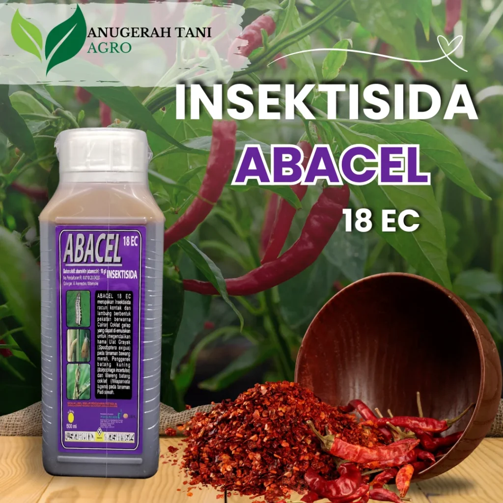 abacel1